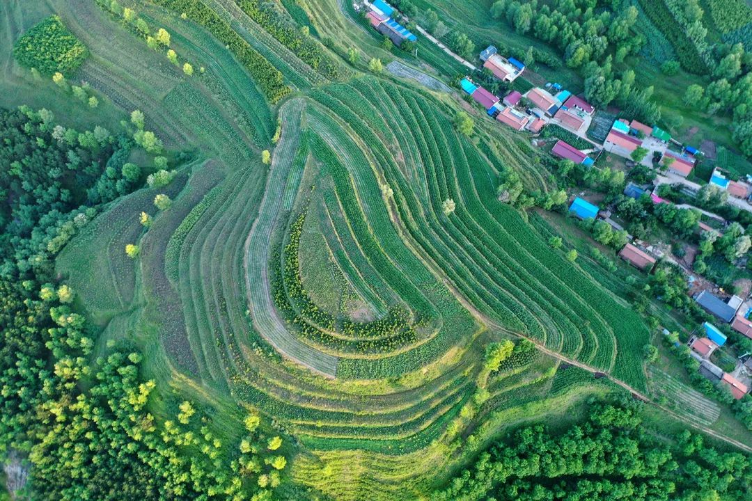 生態(tài)系統(tǒng)健康和管理——加強(qiáng)生態(tài)技術(shù)和工程管理，促進(jìn)生態(tài)系統(tǒng)健康發(fā)展